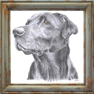 Pet Portrait 8"x10"